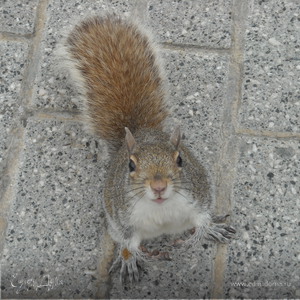 Фотография профиля