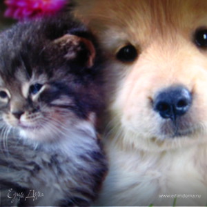 Фотография профиля