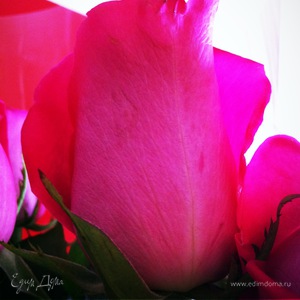 Фотография профиля