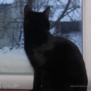 Фотография профиля