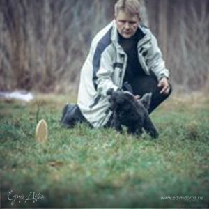 Фотография профиля