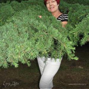 Фотография профиля