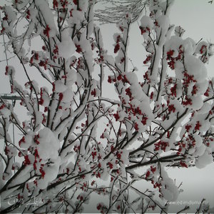 Фотография профиля