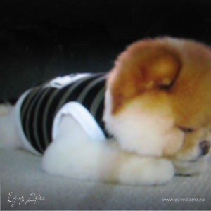 Фотография профиля