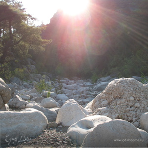 Фотография профиля