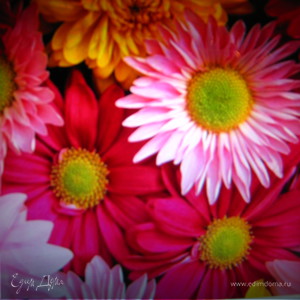 Фотография профиля