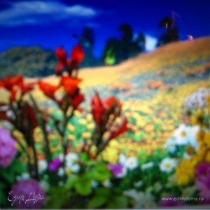 Фотография профиля