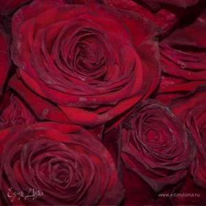 Фотография профиля