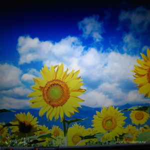 Фотография профиля