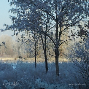 Фотография профиля