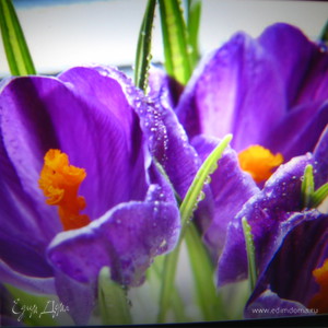 Фотография профиля