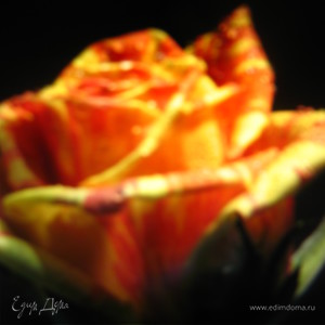 Фотография профиля