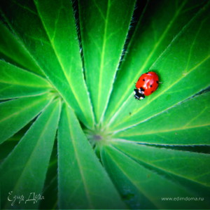 Фотография профиля