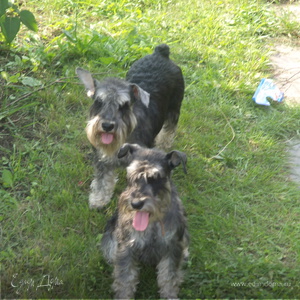 Фотография профиля