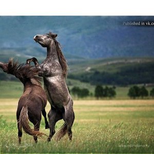 Фотография профиля