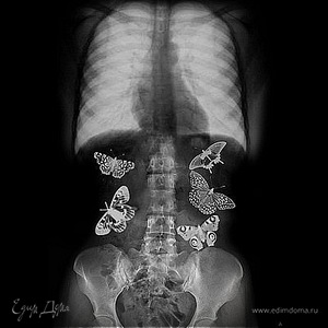 Фотография профиля