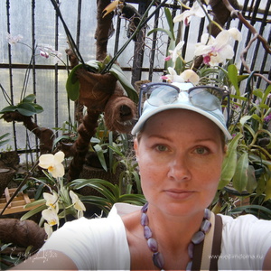 Фотография профиля