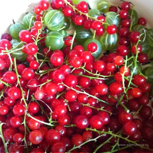 Фотография профиля