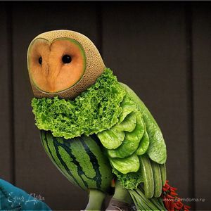 Фотография профиля