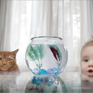 Фотография профиля