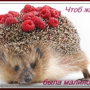 Фотография профиля