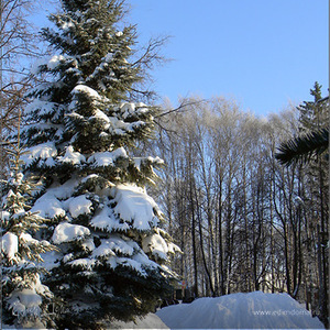 Фотография профиля