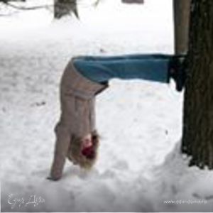 Фотография профиля