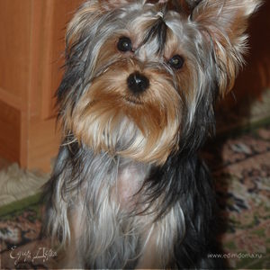 Фотография профиля