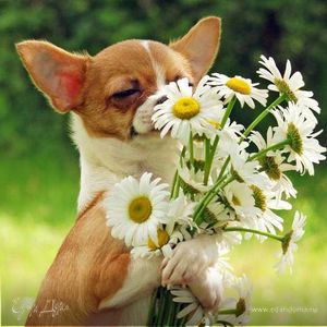 Фотография профиля