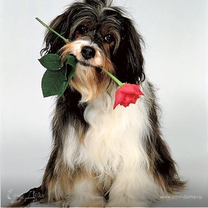 Фотография профиля