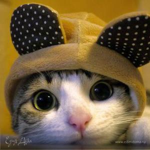 Фотография профиля