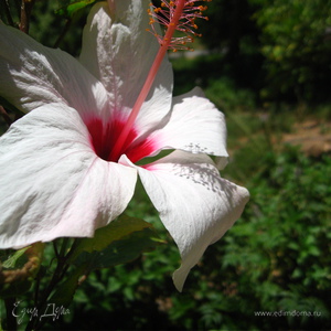 Фотография профиля