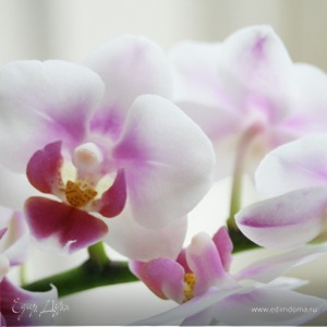 Фотография профиля