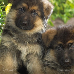 Фотография профиля