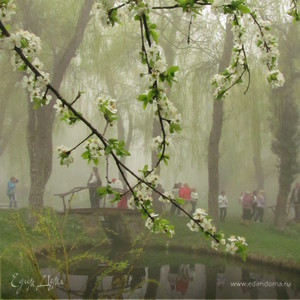 Фотография профиля