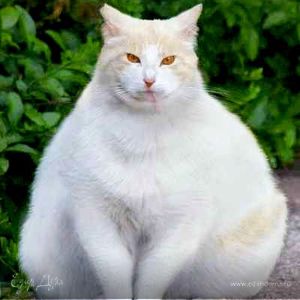 Фотография профиля