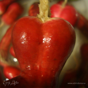 Фотография профиля