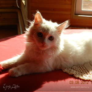 Фотография профиля