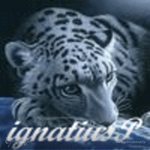 Фотография профиля