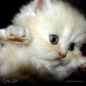 Фотография профиля