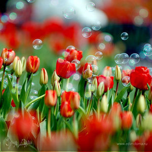 Фотография профиля