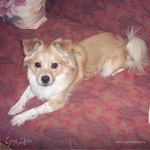 Фотография профиля