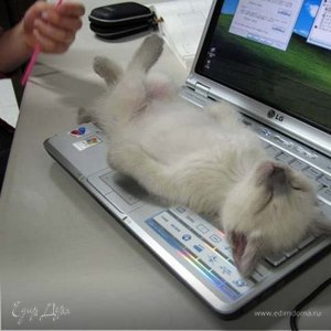 Фотография профиля