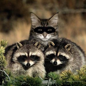 Фотография профиля