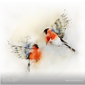 Фотография профиля