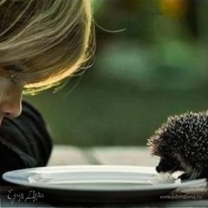 Фотография профиля