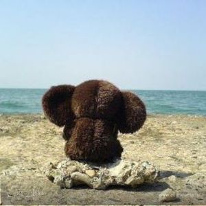 Фотография профиля