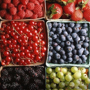 Фотография профиля