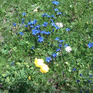 Фотография профиля