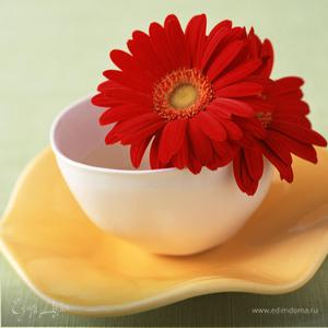 Фотография профиля